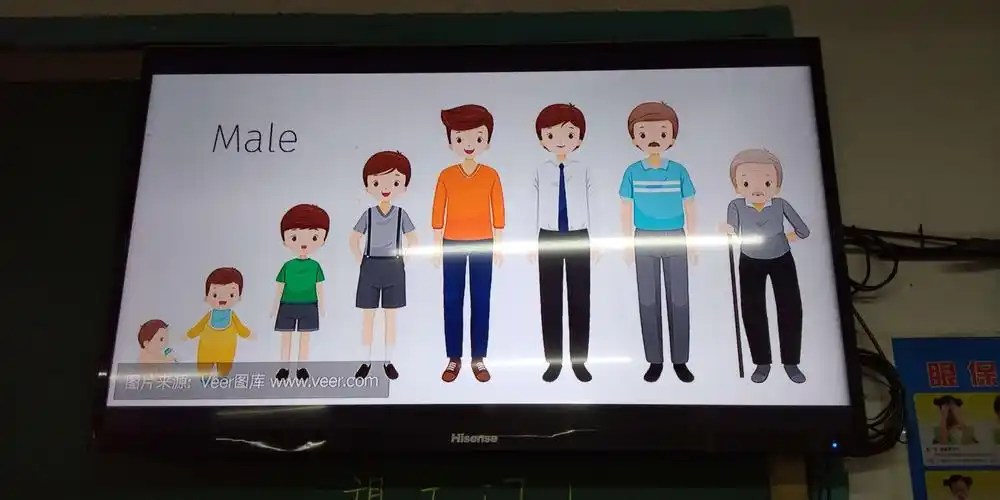 从小到大的生长过程