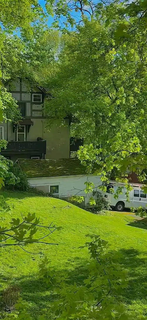 壁纸 | 向你发射一组绿色护眼壁纸676767676767 6767