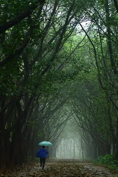 雨天风景