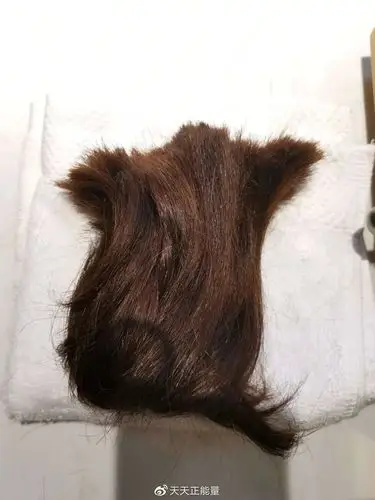 光头出征武汉如今凯旋归来她们想变回那个长发的自己