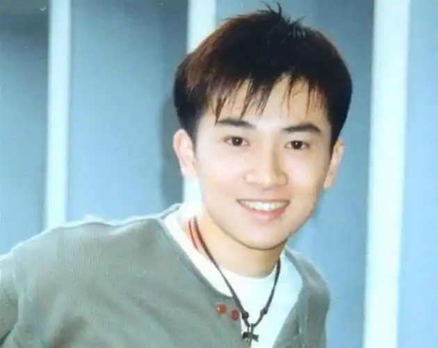 十大娱乐圈一线男星昔日帅照,郭富城最帅发型,古天乐的清秀脸庞