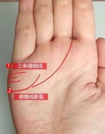婚姻线两条真的会离婚吗手上有两条婚姻线是要离婚吗