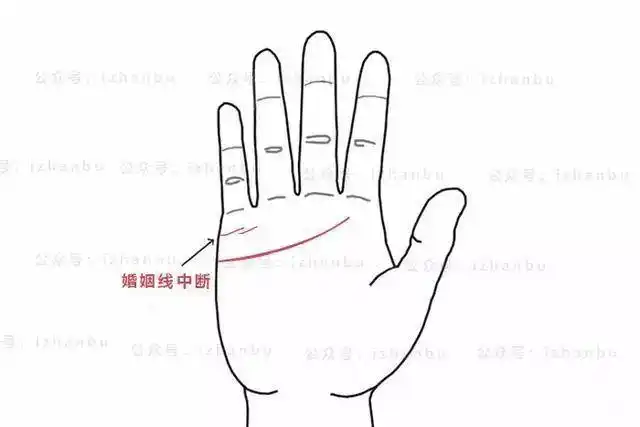 相学:3分钟教你看懂感情线和婚姻线