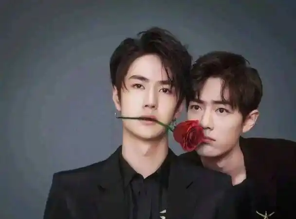 肖战王一博领衔主演的《陈情令》,这部由大ip《魔道祖师》改编的网剧