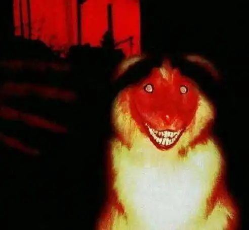 1990年,哈士奇恐怖照片曝光-质信十强榜