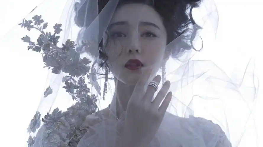 内地明星 范冰冰 明星风尚壁纸【1】