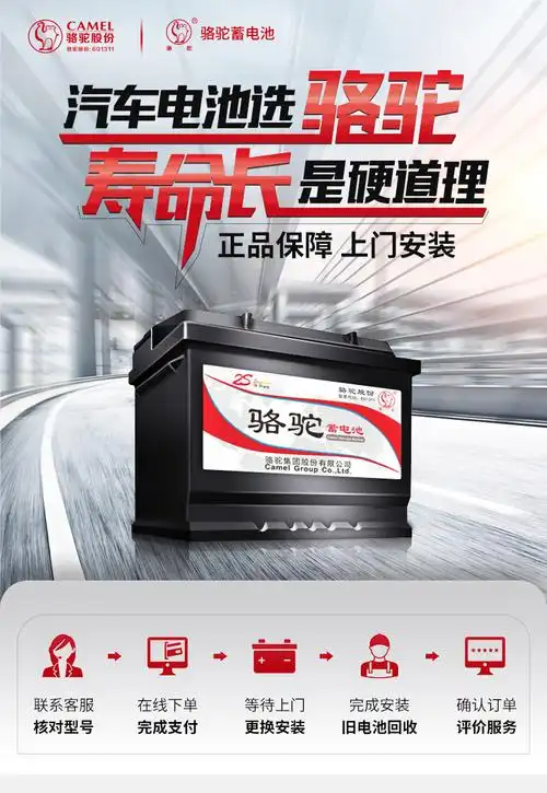 骆驼55530蓄电池汽车电瓶12v55ah菲亚特菲翔博悦菲跃领雅朋多派朗