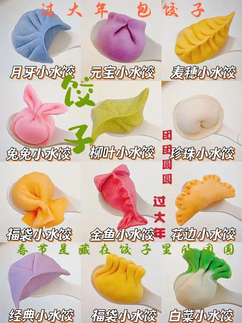 新年花样水饺09造型可爱做法简单一学就会.#彩色饺子 新年的 - 抖音