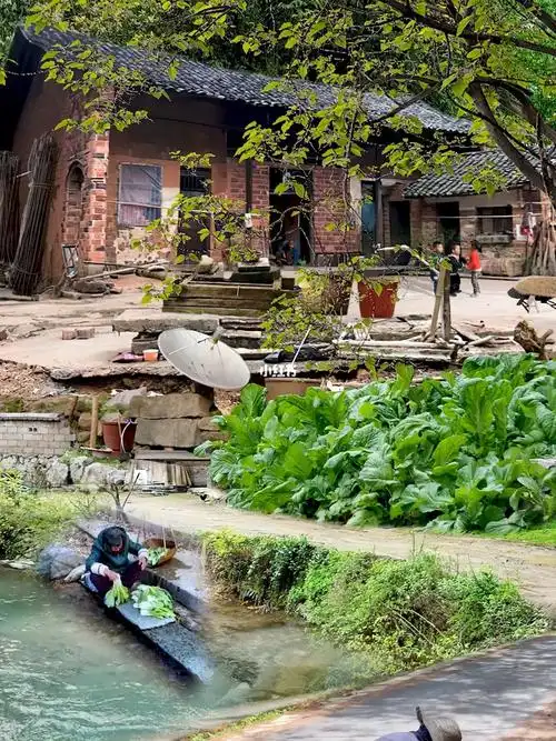 今天,让我们走进乡村,感受乡村的田园风光 #农村生活   #农村   #怀念