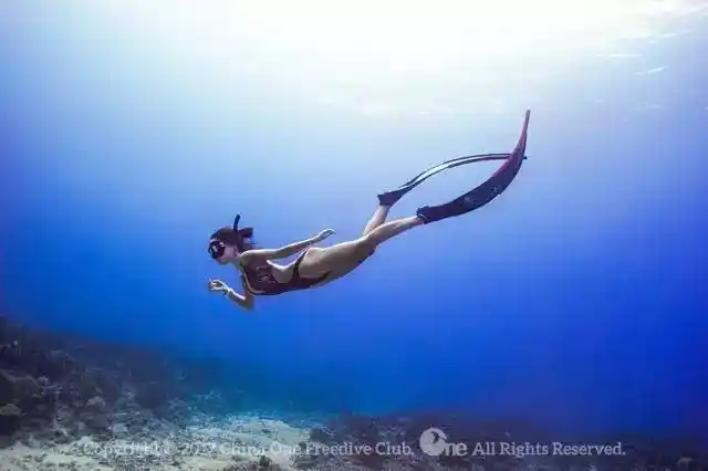 为什么自由潜是这个星球上最酷的运动?