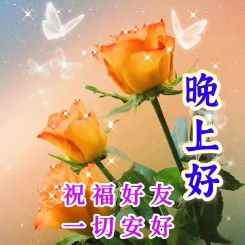 晚上好图片大全晚上好问候祝福语愿您好梦