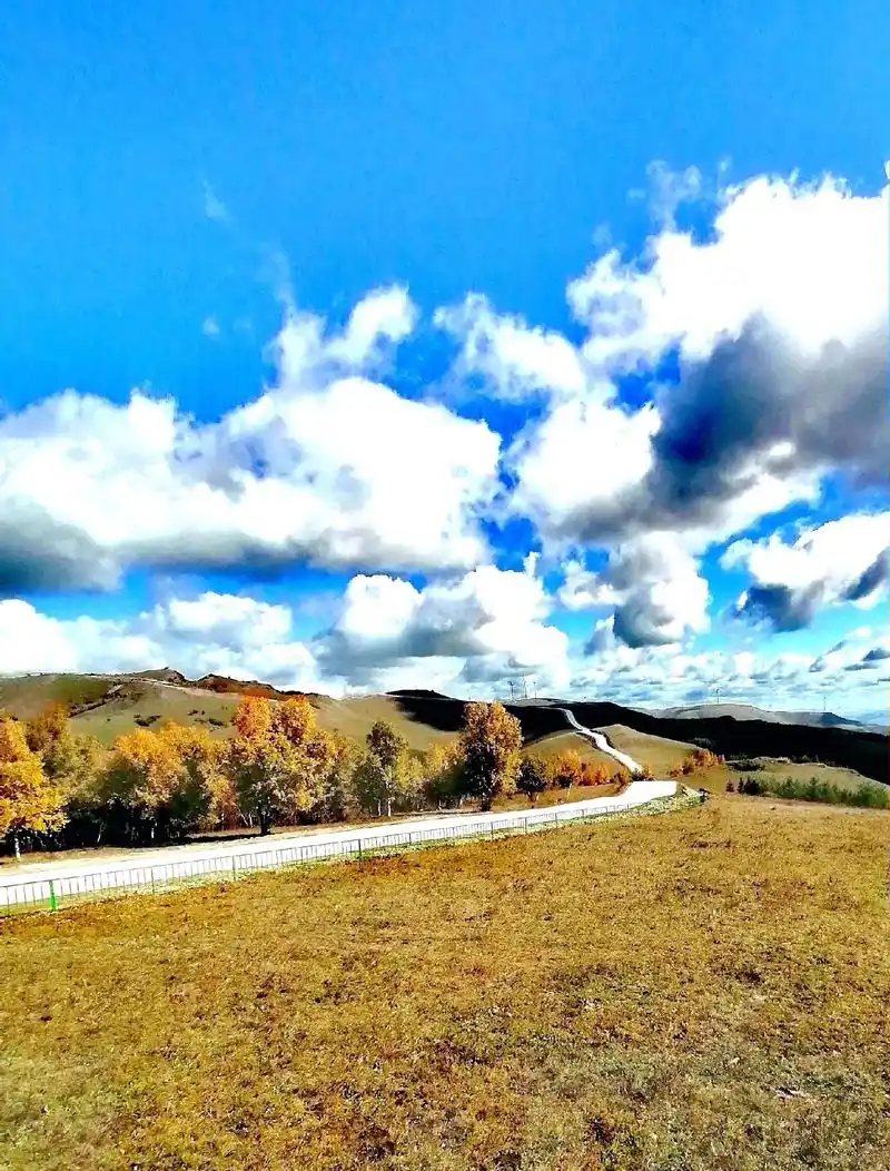 草原天路,公路延线蜿蜒曲折,河流山峦,沟壑纵深,草甸牛羊,景 - 抖音