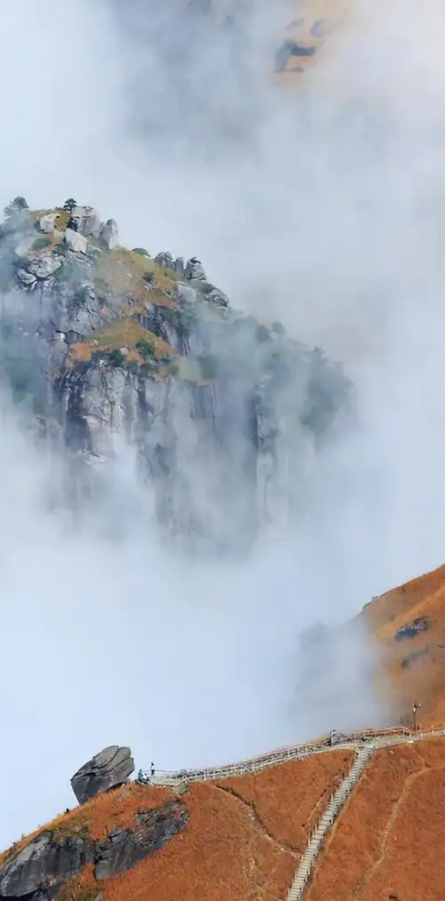 实习生胡雅婷摄影报道:移动互联网时代,人们通过手机获取信息,令竖屏