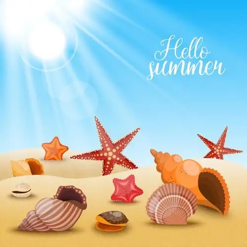 夏天海滩上的海星贝壳矢量素材eps