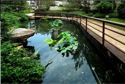 水景-花瓣网|陪你做生活的设计师 | 上百张颜值爆表的水景设计实景图