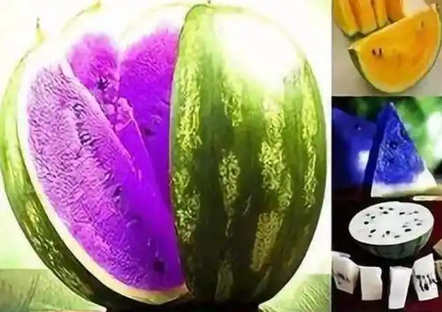 你见过紫色的西瓜吗?小伙亲自示范,尝上一口终身难忘!