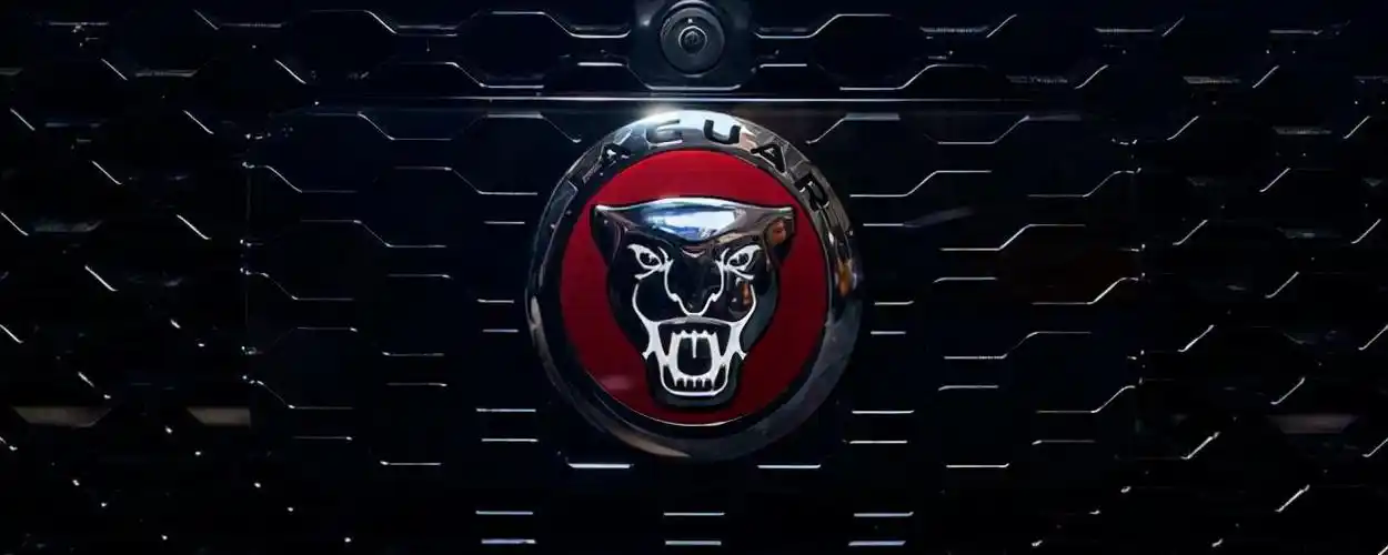 车标是豹子头车标是豹子头的