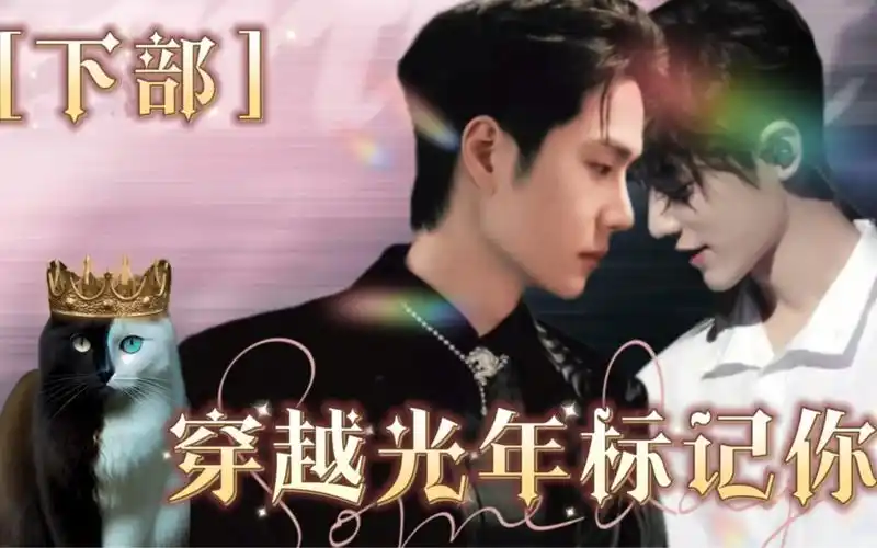 博君一肖 #王一博肖战 #红绿小磕糖