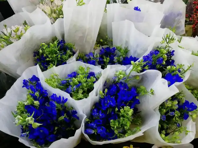 爱上一束花太简单