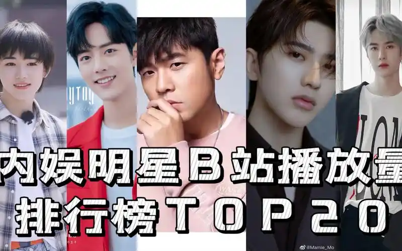 内娱男明星b站频道播放量排行榜top20