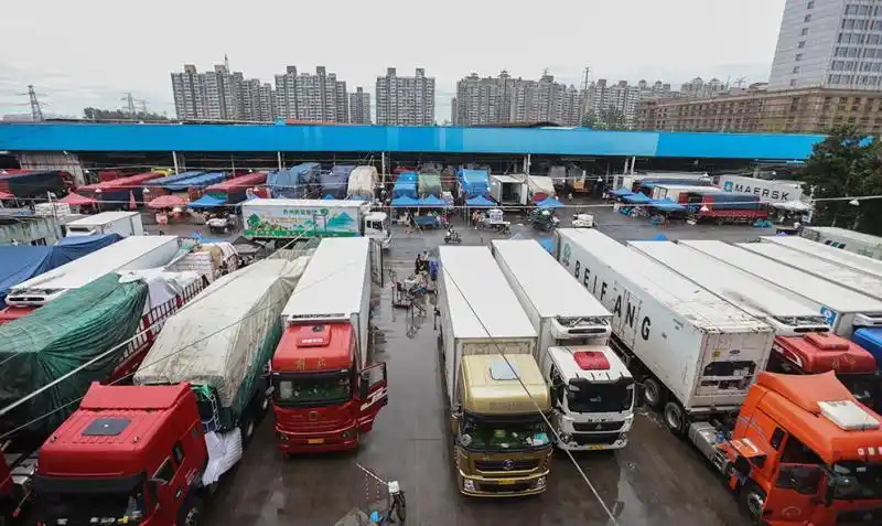 台风前后锁定高原夏菜主产区上海江桥批发市场蔬菜品种多价格稳