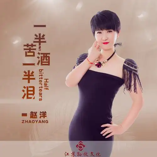 一半苦酒一半泪_赵洋_高音质在线试听_一半苦酒一半泪歌词|歌曲下载
