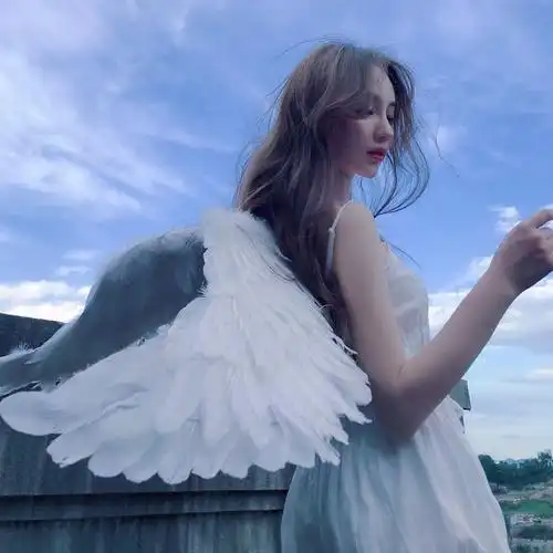 野洵 仙女头像集喜收藏 禁二传天空没有翅膀的痕迹 而我已飞过.