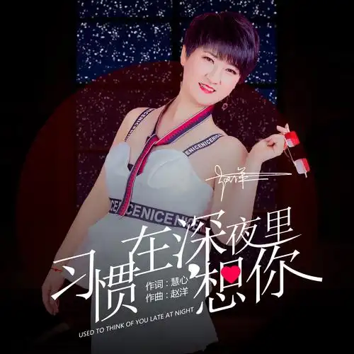 习惯在深夜里想你_赵洋_高音质在线试听_习惯在深夜里想你歌词|歌曲