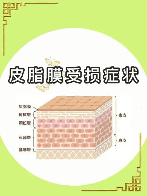 护肤小知识|有关面部皮肤皮脂膜知识【三】