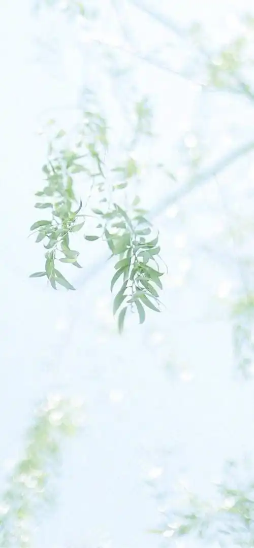 iphonex/xs/max 清新风景背景 - 堆糖,美图壁纸兴趣社区