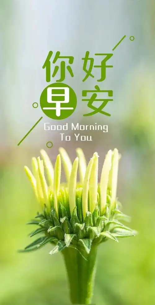 成熟哲理有内涵的文字图片  丰富的过每一天 快乐的看每一天,内涵图片