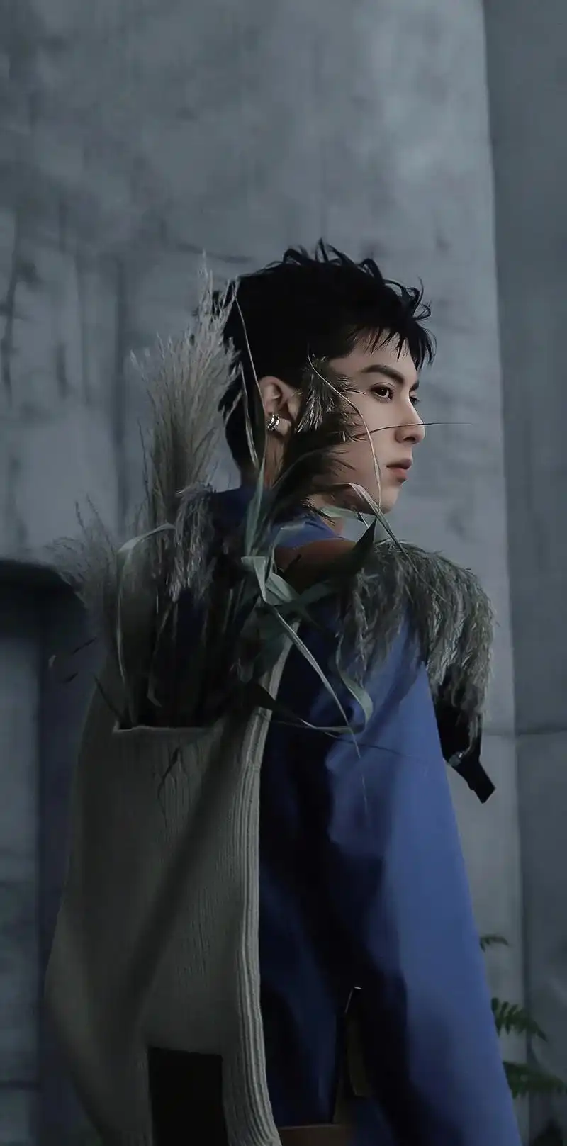 王鹤棣 #壁纸 #痞帅 - 抖音