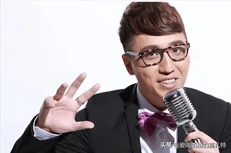 十大国内知名综艺主持人,还有谁?(排名不分先后!)_节目_尼格买提_何炯