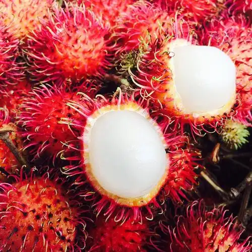 湛航泰国红毛丹水果毛荔枝热带当季海南毛丹果新鲜现摘整箱