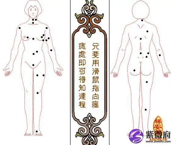 女人痣相算命_面相_紫微府