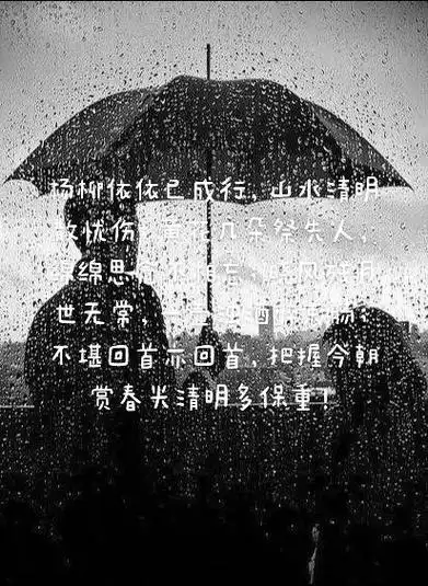 不堪回首亦回首把握今朝绵绵思念不相忘晓风残月赏春尖清明多保重散