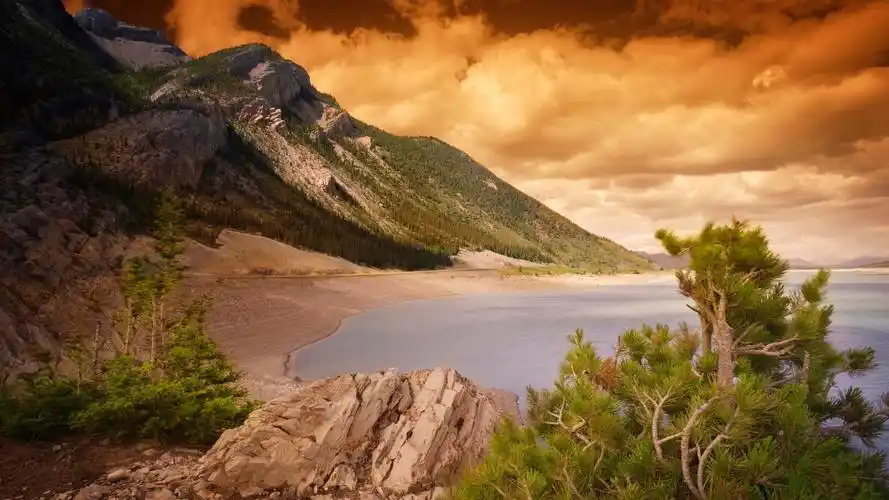 海岸,海,山,礁,松针树,云,日落 壁纸 - 1920x1080