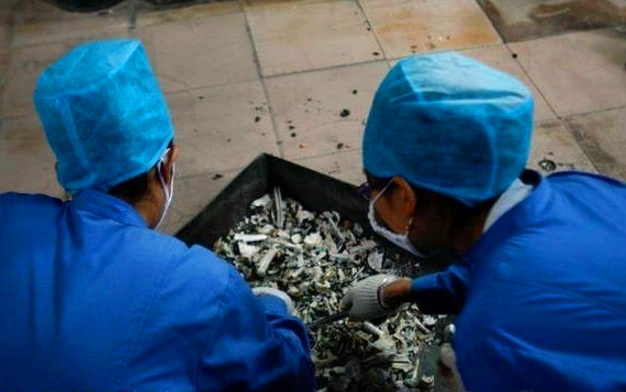 殡仪馆工作的年轻女孩每天面对各种死因的遗体最担心嫁不出去