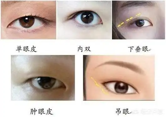头条问答 - 对于人类来说,单眼皮和双眼皮哪个进化程度更高?