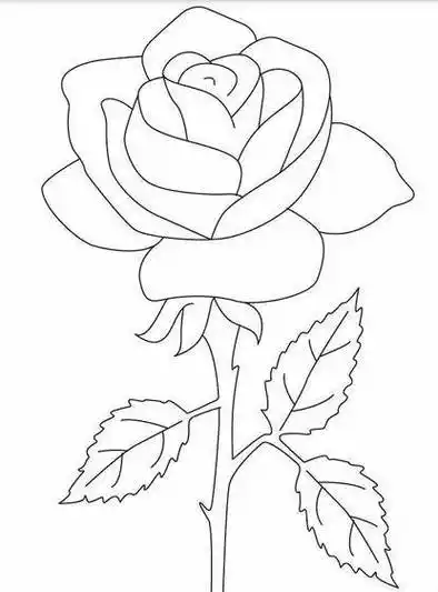 玫瑰花图片简笔画 玫瑰花图片简笔画 唯美