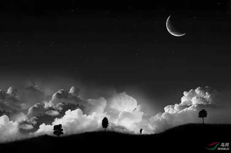 星空------(祝贺获本版佳作和首页精华!) - 黑白影像 鸟网