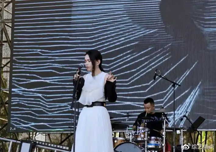 沉寂多年的与非门主唱蒋凡终于唱响了谁是宝藏歌手的舞台