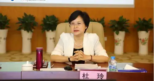 盐田区委书记杜玲