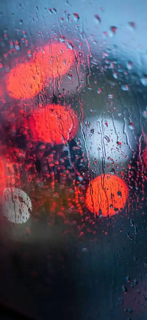 壁纸全面屏壁纸