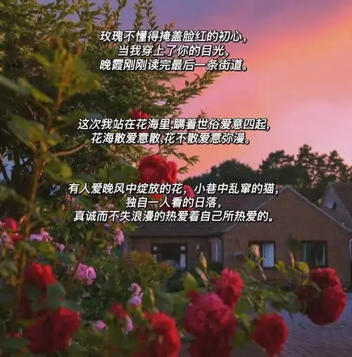 文案浪漫唯美有诗意的文艺小句子