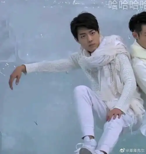 高中时期的肖战像什么样子?