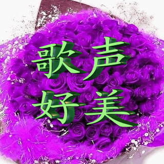 音乐迷空间-图片-歌声好美