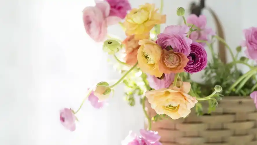 鲜花紫色花朵电脑桌面壁纸