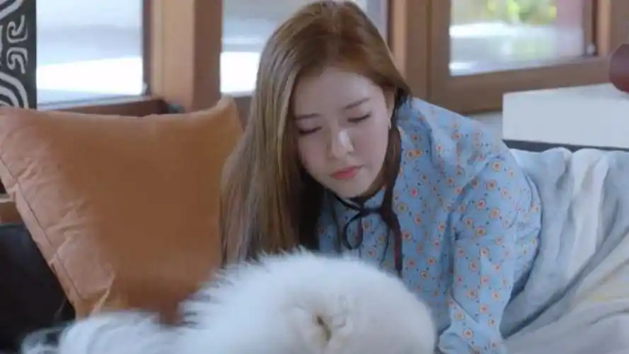 《神犬小七第三季》第29集03:小雪和安心遇险,他们能否化险为夷_高清