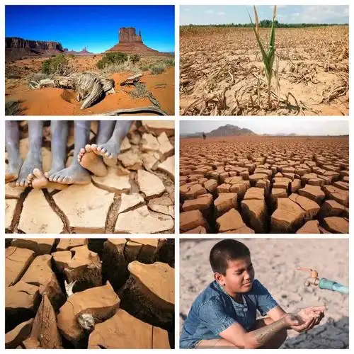 【沈南宅家小课堂】主题活动十一:地球小卫士——小班